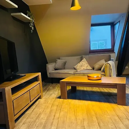 Cosy De 2 A 4 Pers * Munster (Haut-Rhin)